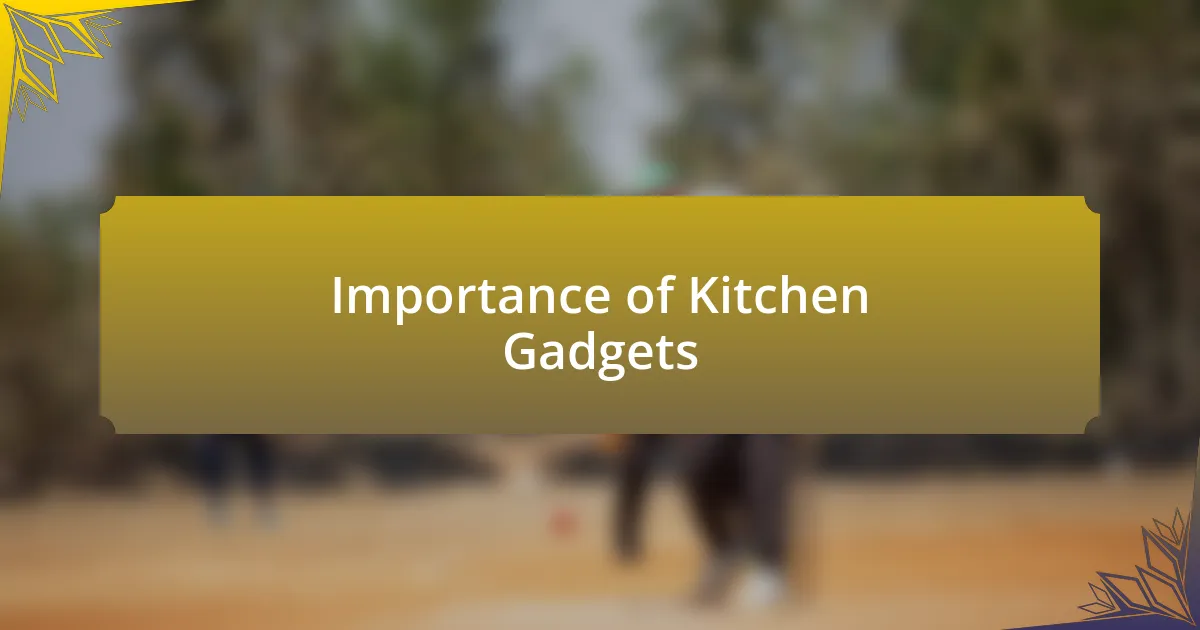 Importance of Kitchen Gadgets